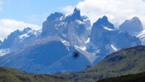 im Park Torres del Paine